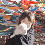 蛋黄鸭鸭心情录