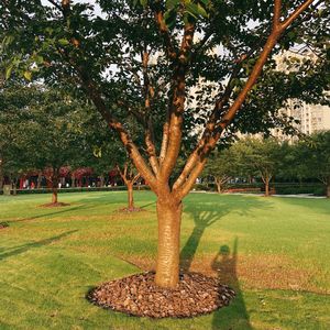 No.071-勇敢| 什么都可以坦荡，是我们想要的成年人模样