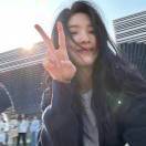树鱼儿