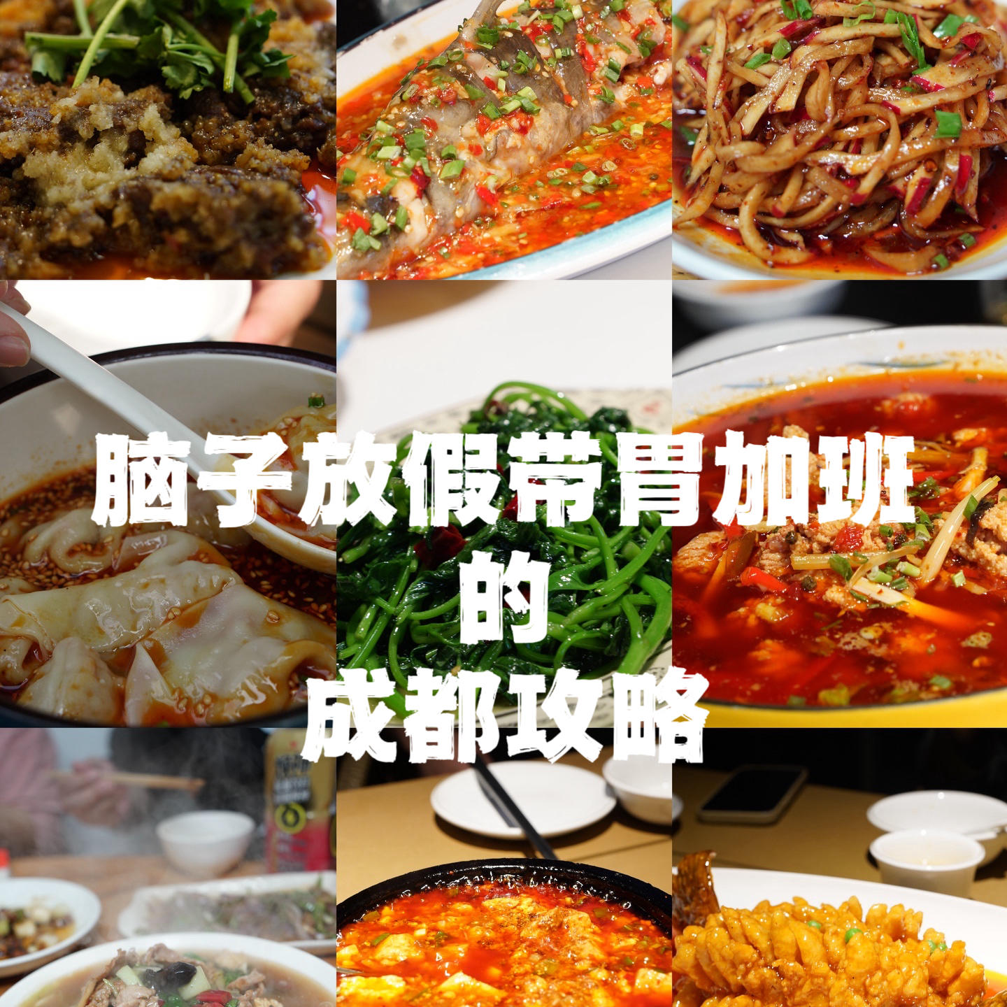 97｜【与食巨近】能泡一天老茶馆的成都人，究竟在吃啥子味道？（附一份觅食路线）