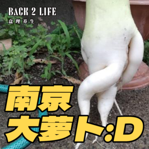 Ep031.#我爱南京#南京大萝卜，没有隔夜的emo！“多大事啊”