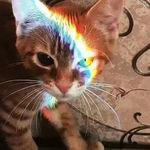 Afterglows_