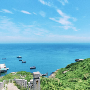 Vol.061｜海岛义工大撕逼：请你招个正式员工吧(下)