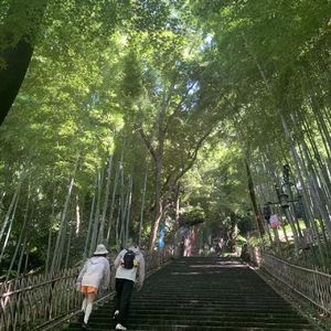 夏天才行至36度,也许还有6度攀爬的空间