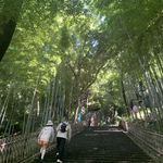 夏天才行至36度,也许还有6度攀爬的空间