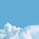 Leeno_