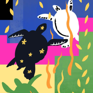 海龟汤:换上全黑的窗帘,我的睡眠好多了,但半夜醒来时,我惊恐万分。