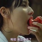 回音小姐的书房