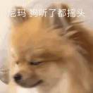 猪肉红