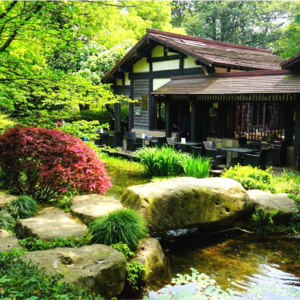 中国茶叶博物馆（双峰馆区）-20240913