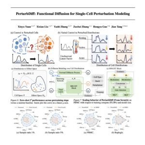 744-PerturbDiff: for Single-Cell Perturbation Modeling