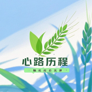 离婚后的相亲市场:四十岁重新寻找爱情的勇气与挑战F2-3