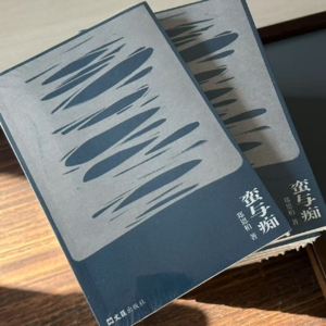 成长的答案都在童年里，灵感也是 ｜对话《蛮与痴》小说作者郑恩柏