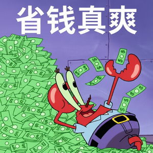Vol.16:租赁、买二手、拼单、找搭子,当代人为了“省钱”有多拼?——拥有是负担,体验才是自由