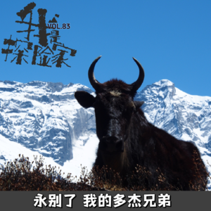 永别了我的多杰兄弟