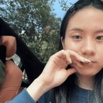 风和沙丁鱼