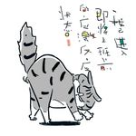 沉溺的鱼