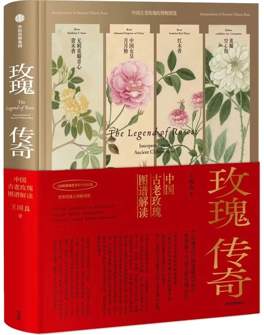 玫瑰传奇：中国古老玫瑰图谱解读