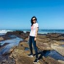 圆鲸鱼