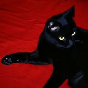 podcaster-avatar