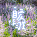 E17. 高质量实习｜拒绝打杂摸鱼，如何让实习收益最大化？