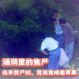 152.涵洞里的焦尸：凶手焚尸时，竟淡定啃着苹果