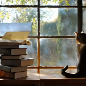 文学的多重宇宙——走进文学比较分析的世界