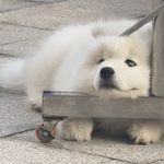 浪漫主义的夜晚