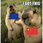 opencode御用工具