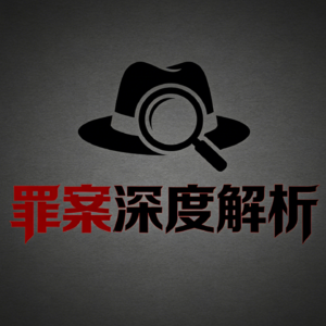 罪案深度解析