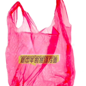 一个跨行适老化改造,一个出国重读本科学高龄者福祉,这是为什么啊?