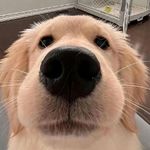 许无忤