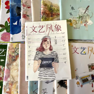 纸媒没落之前的文学类杂志：我们以前吃的都是细糠啊