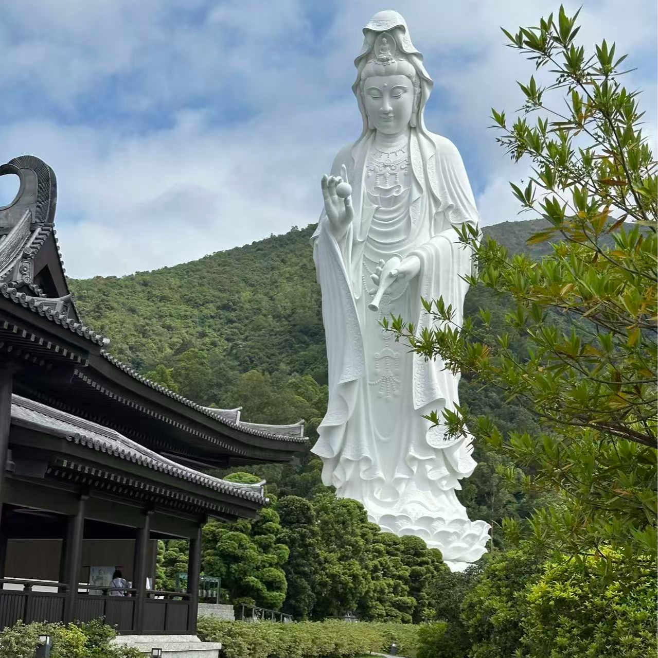 EP11 中年养生碎碎念——久坐的坑，饮食的道，失眠的解药 episode artwork