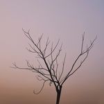 落日克劳德