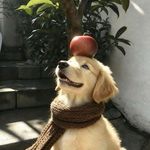 想要贴贴