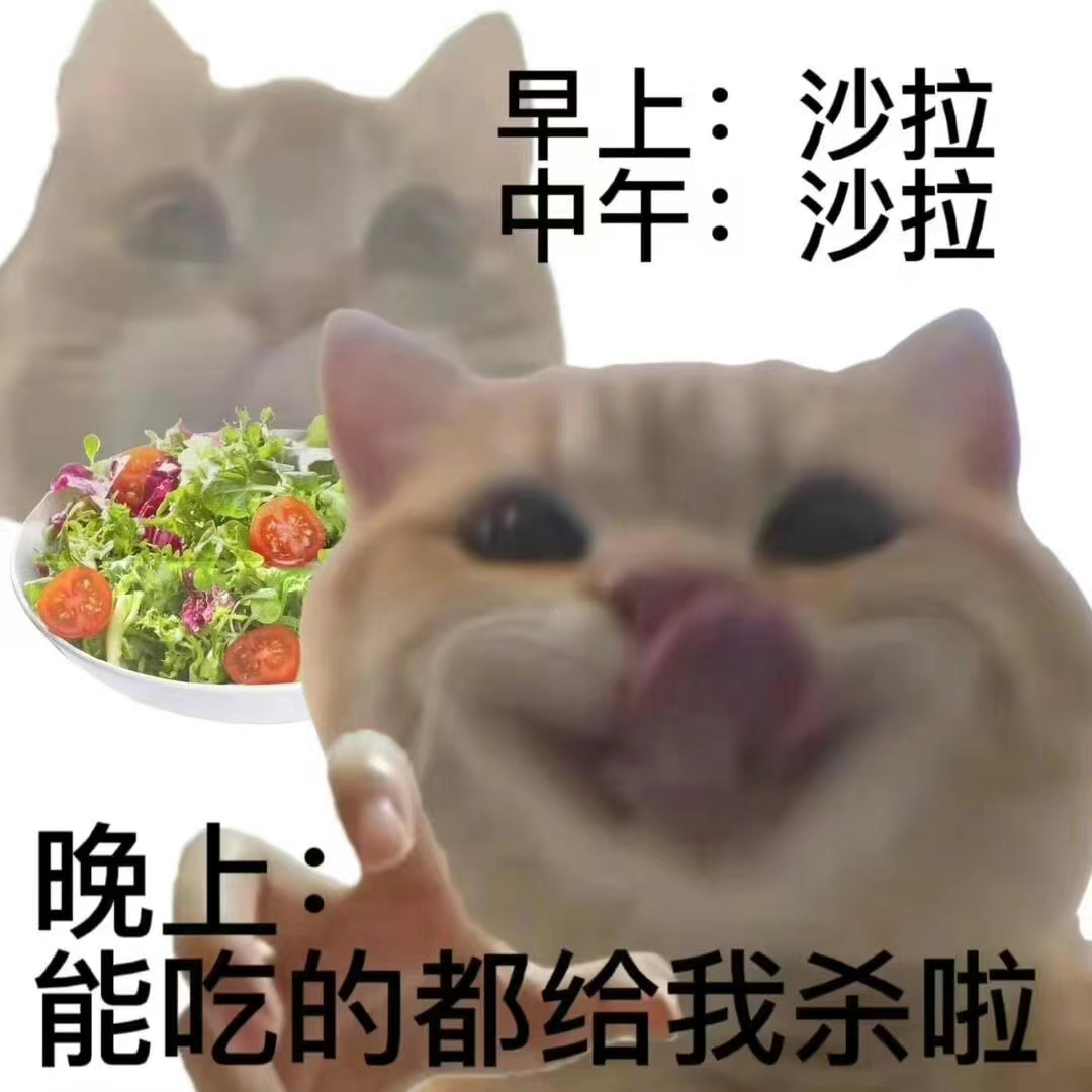 EP002 | 今天你运动了吗 episode artwork