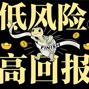 5.【不用盯盘，熊市抗跌，长期复利】精讲《低风险高回报》