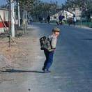 白井和早坂谁更恶心