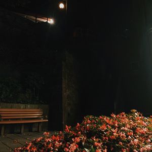 podcaster-avatar