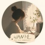 WAN慢
