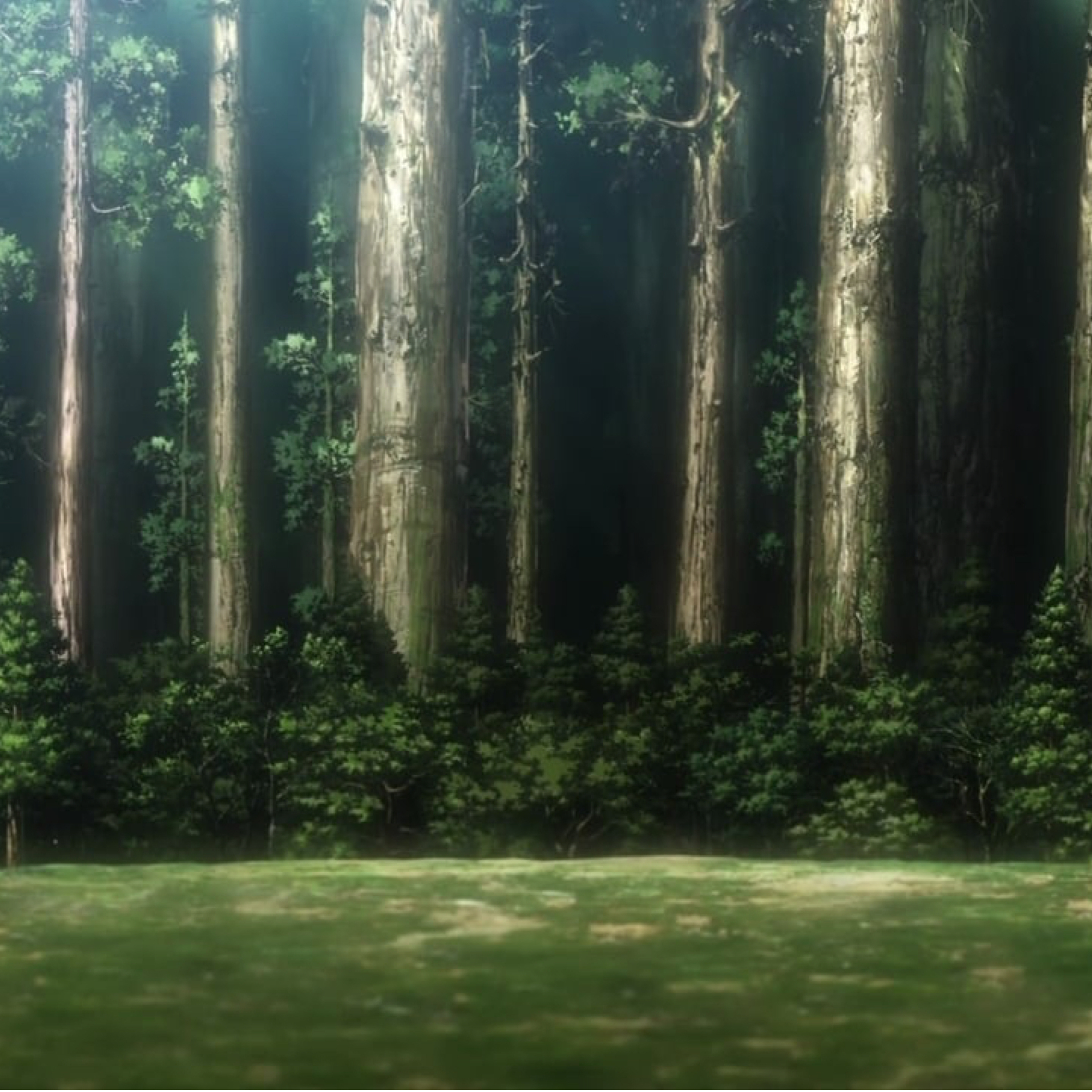 走出森林OutOfTheForest