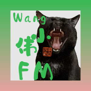 Wang小伟 FM