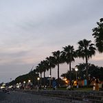 你说的都对蒜泥