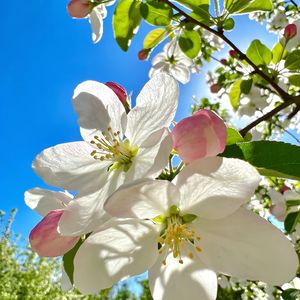 月与也御野计算机二级知识点