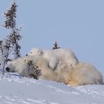 最好吃的小饼干