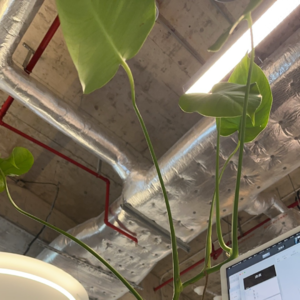 课间十分钟聊起买车顺便复盘个人收支