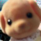 叫什么名字好呢_Phgd