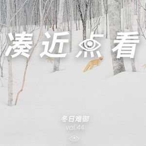 VOL 44 - 冬日难御：除非来碗热汤撒上胡椒面