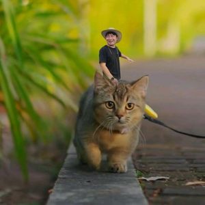 podcaster-avatar